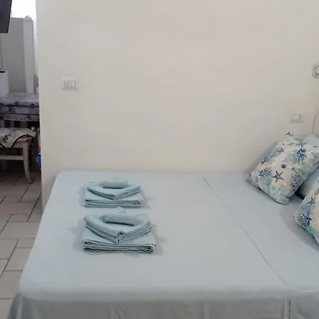 Murattiana 213-1 *